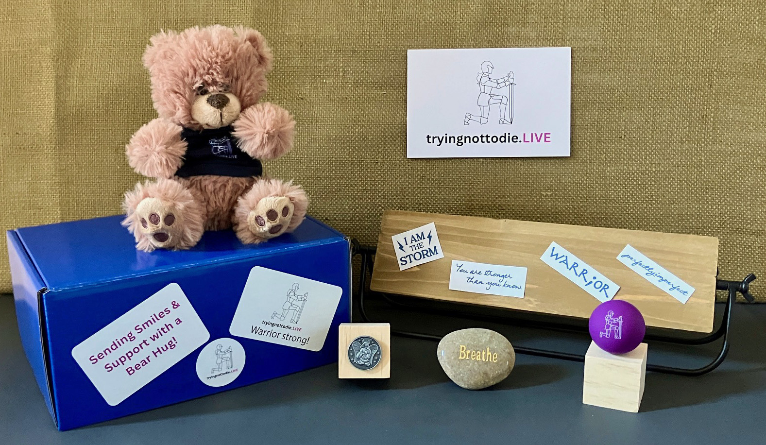 “Bear Hug” Care Package™